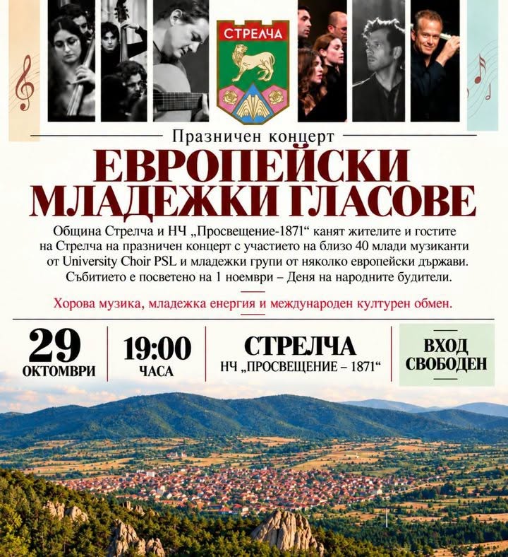 европейски младежки гласове